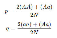 allele frequency formula